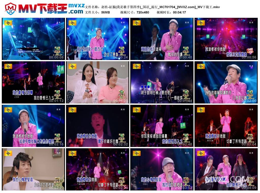 赵传-征服(我是歌手第四季)_国语_流行_MC701704